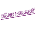 Logo von GLAS BELZER